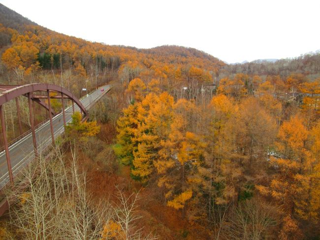 ロープウェイからの眼下は紅葉一色!(^^)!