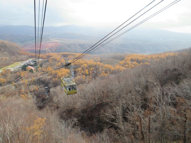 寒かったのと、この後、札幌グルメを楽しみたくて、早めの下山