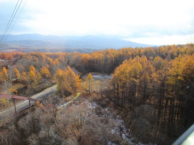 紅葉すごくキレイ