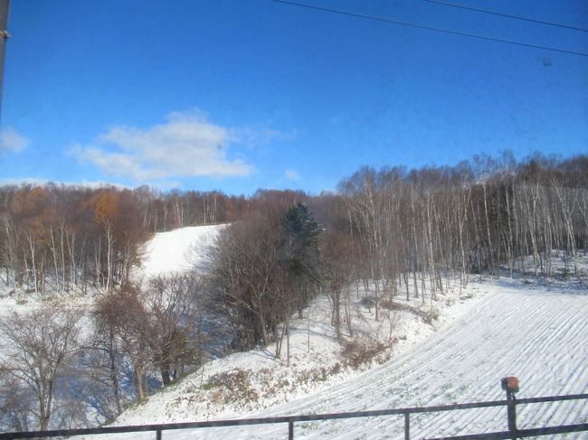 11月から雪化粧がみられるなんて、北海道に来たなぁって感じですね。