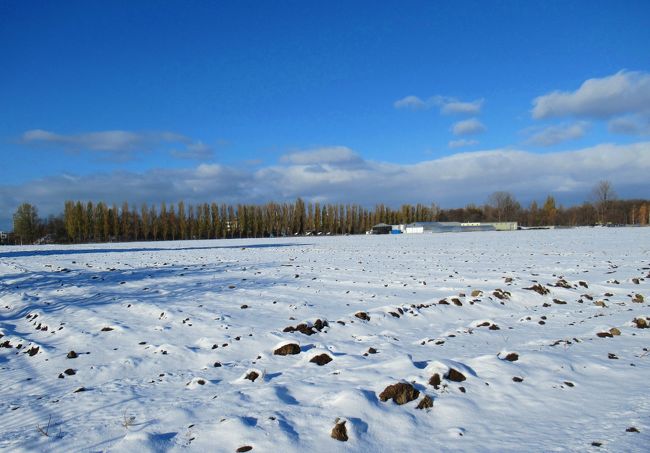 タワーから見えた北大の農場の並木道に惹かれて、農場へ。北海道らしい景色は格別ですね。