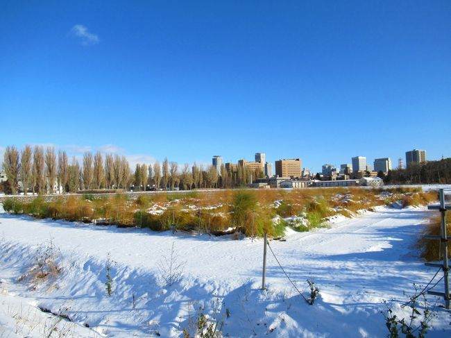 前に来た時は雪の季節じゃなくて、牛が放牧されていたけど、駅のビル群の近くに広い農場なんて、北海道らしさ満点。