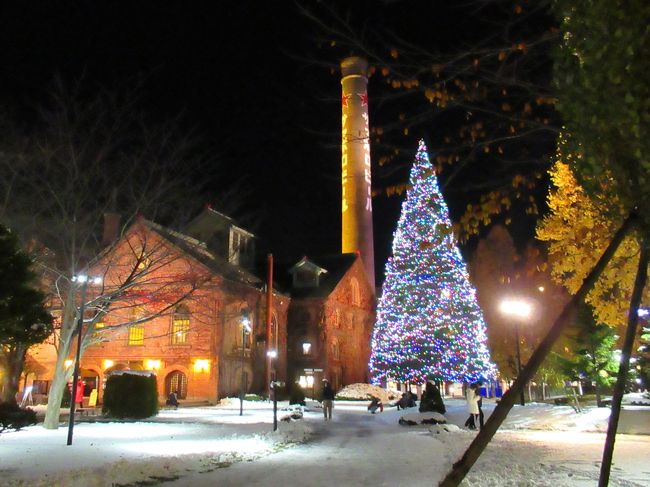 雪景色が一層クリスマスムードを盛り上げます。ってまだクリスマスまで一か月以上あるけれど。