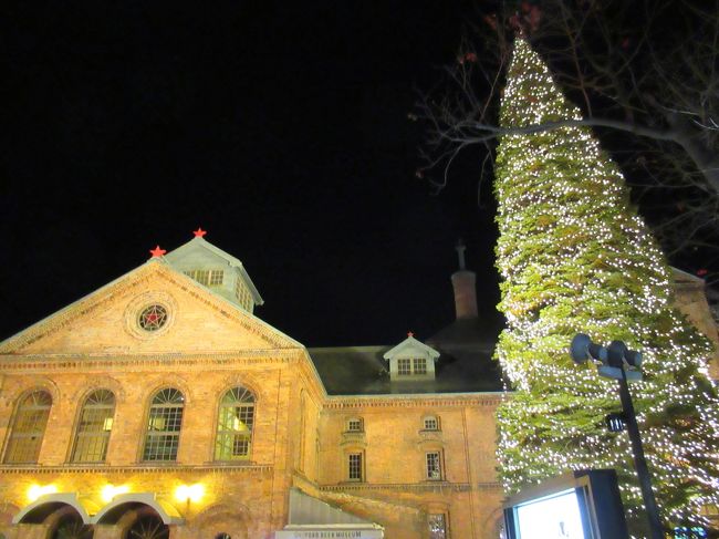 レンガ造りのライトアップとのコラボがイイです。この後はサッポロクラシックビールをいただきました。