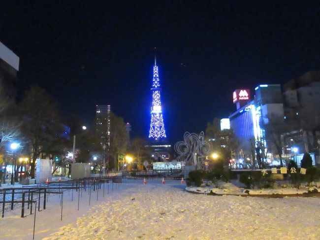 再び夜の大通公園です