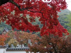 錦帯橋近くにある紅葉谷公園