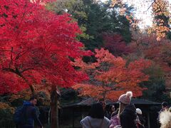 紅葉谷公園