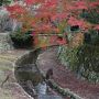 秋の山陰(浜田市)～錦帯橋～厳島・呉　2019.11.17～11.19　３日目