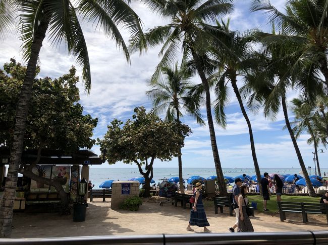 何度見てるだろうか？この景色。でも飽きない