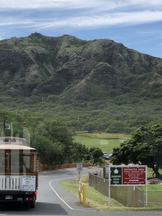 降りないけどダイアモンドベット登った気分に