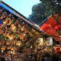 白金・目黒散策：八芳園、池田山公園の紅葉他