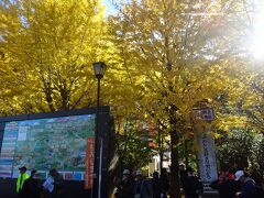 高尾山口駅　（９：５０）

駅前も黄葉。
今日の紅葉は期待できるか？と思ったが、駅前には来週が見ごろと案内。