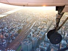 飛行機での移動