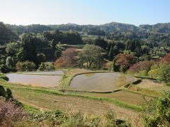 車での移動