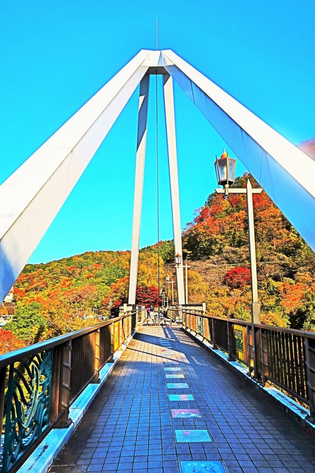 高津戸峡-2 はねたき橋 歩行者専用橋120mを往復 ☆道了尊/天狗
