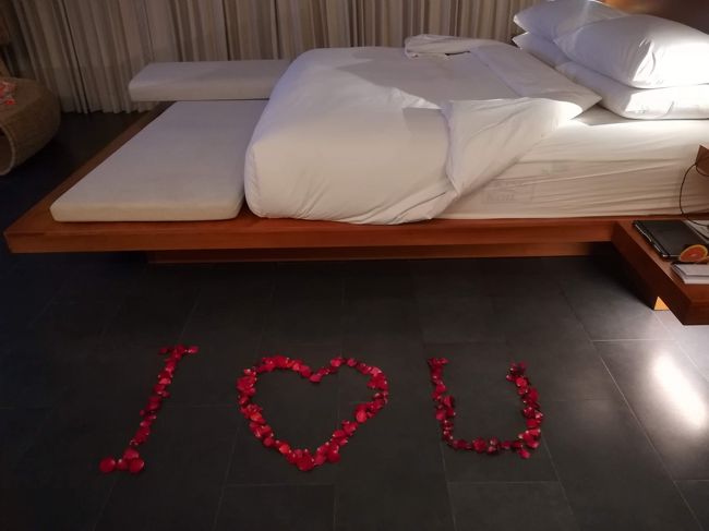 こちらは、晩御飯を買いに行って戻ってきたらターンダウンされており、<br />綺麗なデコレーションをして下さってました。<br /><br />結婚記念日旅行ってネット申し込みの際、書いたかな～？<br />それとも、ビールくれたフロントのお兄ちゃんに言ったのかな～？<br /><br />とてもありがたいサービスを頂きました。<br /><br />フラワーバスにさせて頂きました。
