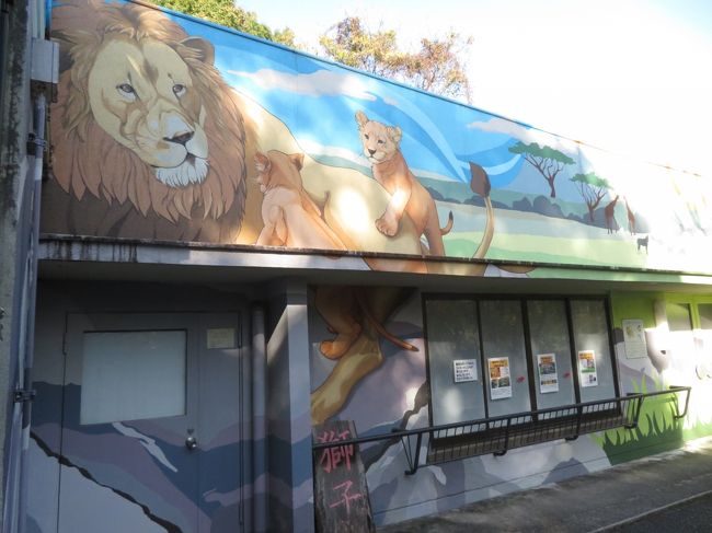 紅葉日和に当たった広島山口レッサーパンダ遠征 5 安佐動物公園 楽しみだったニホンカモシカの赤ちゃんからマルミミゾウまで見られたその他動物 安佐 広島県 の旅行記 ブログ By まみさん フォートラベル 紅葉日和に当たった広島山口レッサーパンダ遠征 5 安佐動物公園 楽しみだったニホンカモシカの赤ちゃんからマルミミゾウまで見られたその他動物 安佐 広島県 の旅行記 ブログ By まみさん フォートラベル