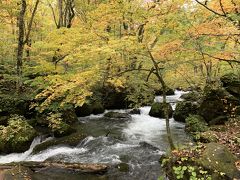 奥入瀬渓流の紅葉