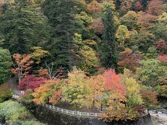 中野もみじ山
多くの人が訪れていました。