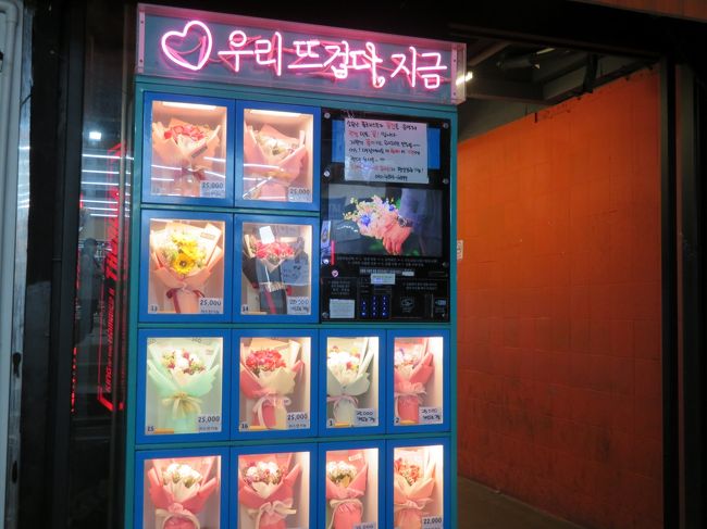晩秋の大邱を楽しんできました 大邱 韓国 の旅行記 ブログ By あっぷるさん フォートラベル 晩秋の大邱を楽しんできました 大邱 韓国 の旅行記 ブログ By あっぷるさん フォートラベル