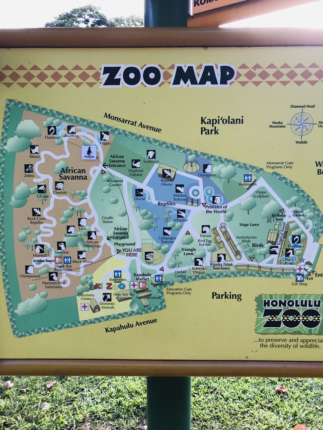 日本人は大人4人だけでしたが、Namiさんとおっしゃっる日本人スタッフが付いてくださいました。<br />動物保護や生態など詳しいお話しが聞けて良かったです。<br />小学生にオススメ。