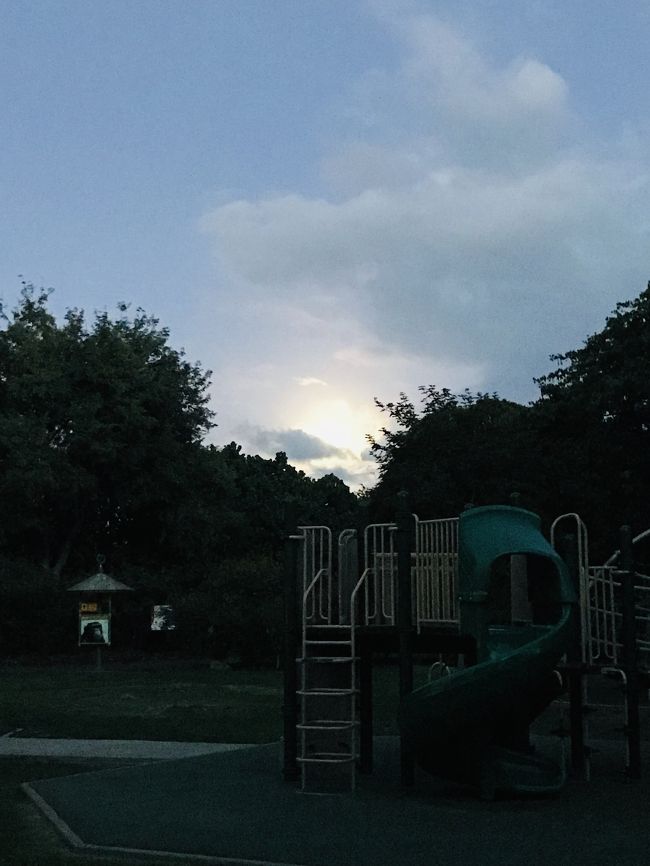 こんなに暗くなるまで動物園に居られました。