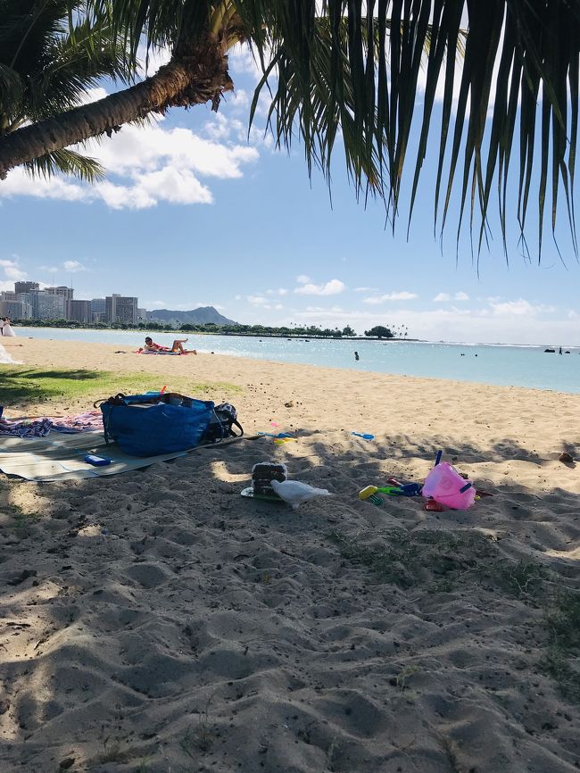 お隣さん、ケーキを鳩に食べられてますよー！