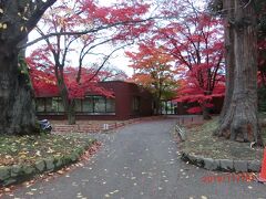 弘前公園の絶景ポイントです。
