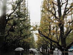 そのあと、明治神宮外苑のいちょう並木を見に行きましたが、もう少しかなという感じでした。