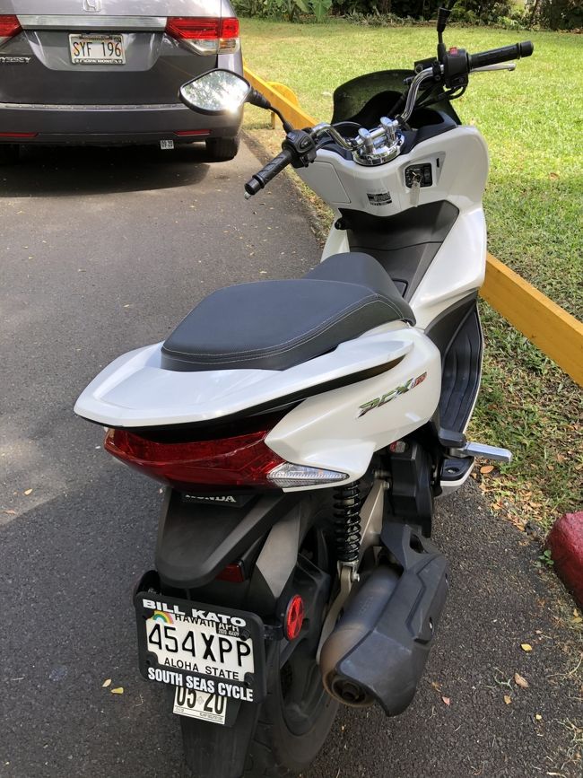 ２日目～。今日はレンタルでこれ借りました