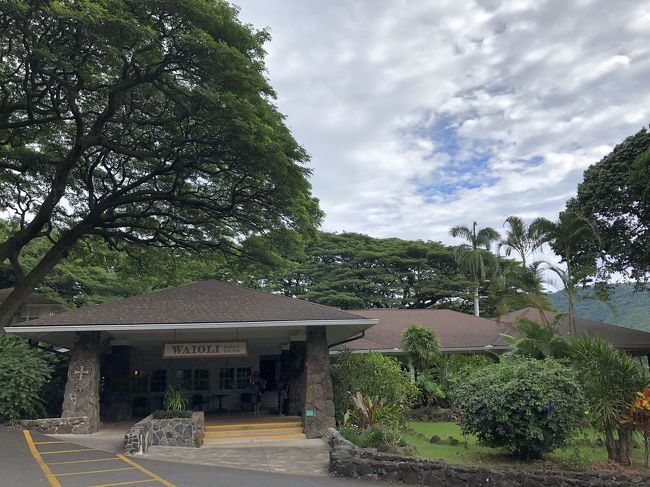 ワイオリ　ティルーム。森林浴のような気持ちになるカフェと聞き是非来たかった所。やっとで行けました。