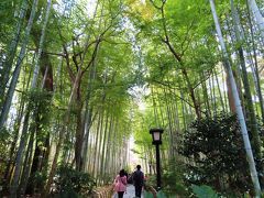 竹林の小径。京都・嵐山を思わせます。
そういえば渡月橋も嵐山ですね。