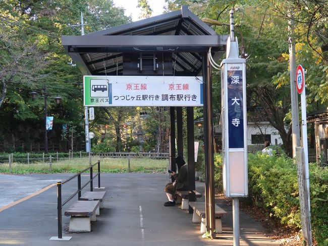 夕やけの葉っぱ わかる深大寺 ちょっぴり高尾山 調布 狛江 東京 の旅行記 ブログ By まっちゃんさん フォートラベル