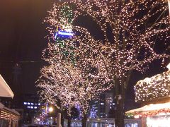 ラーメンの後ミュンヘンクリスマス市へ。寒すぎます。。。。名古屋の人間には軽く見てホテルに退散。。。。