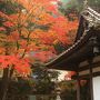 広島・岡山　紅葉めぐり～古保利薬師、吉水園、筒賀大歳神社、普門寺、木山寺、国清寺