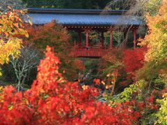 8：50　三原　やはた川自然公園/御調八幡宮（みつきはちまんぐう）清明橋


拝観料　無料
駐車場　無料