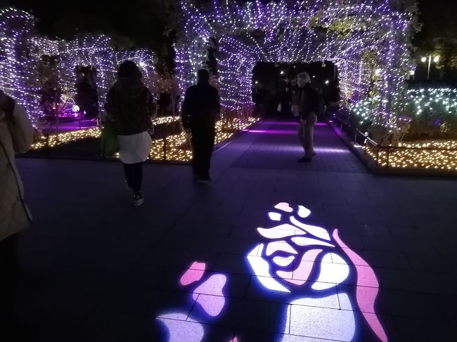 19 横浜中華街さんぽ 山下公園イルミネーション スノーローズガーデンヨコハマ 神奈川県の旅行記 ブログ By たーさん フォートラベル 19 横浜中華街さんぽ 山下公園イルミネーション スノーローズガーデンヨコハマ 神奈川県の旅行記 ブログ By たーさん フォートラベル