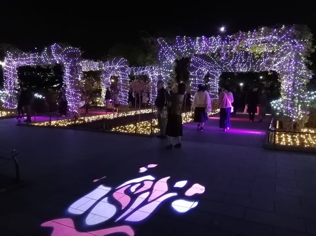 19 横浜中華街さんぽ 山下公園イルミネーション スノーローズガーデンヨコハマ 神奈川県の旅行記 ブログ By たーさん フォートラベル 19 横浜中華街さんぽ 山下公園イルミネーション スノーローズガーデンヨコハマ 神奈川県の旅行記 ブログ By たーさん フォートラベル