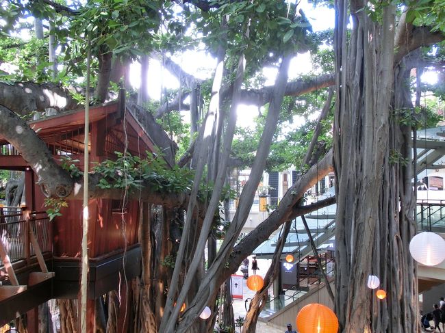 木はそのまま保存されていたり。