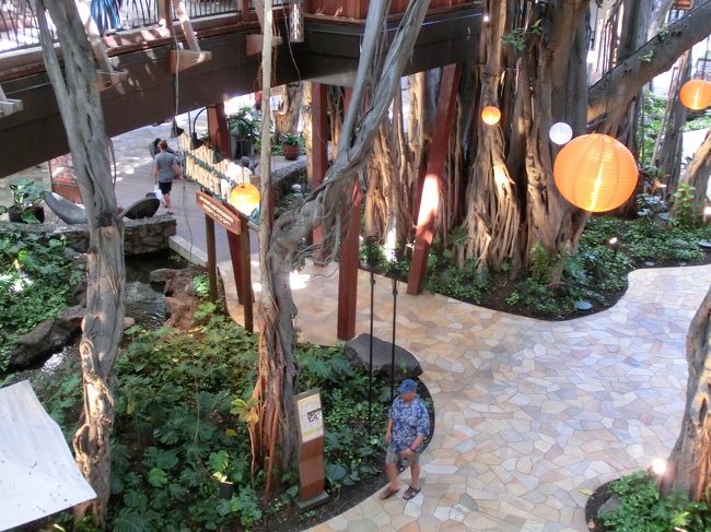 ショッピングセンターですが、マイナスイオンがたくさん。