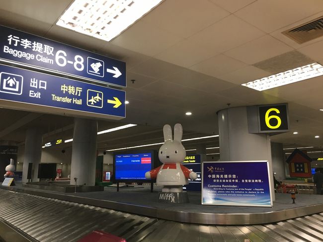 皆さんの旅行記でみかけたミッフィーちゃん。<br />おはようございます。