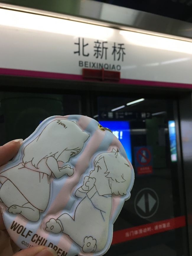 今回は北京版suicaを入れるべく、家に落ちていたケースを持参しました。なんだかんだ便利でしたので、今後も使おうと思います。