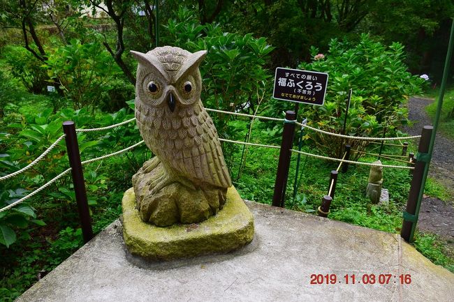 2019 日本一の大フクロウ（不苦労）と大当たり続出で有名な鷲子