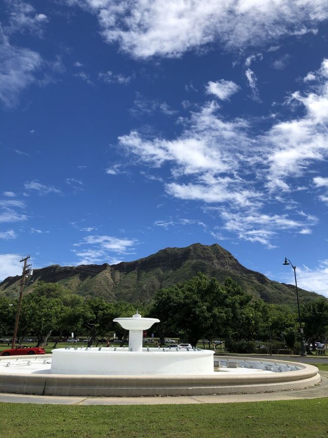 ダイアモンドベットも眺めつつ