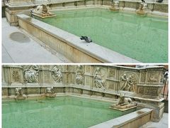 ガイアの泉
美しい「ガイアの泉」はシエナの治水技術の象徴で、1400年から1419年にかけて地下水道の水をカンポ広場まで引いたそうです。

上の写真に、水を飲んでいる鳩が写っていますね。
