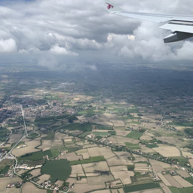 緑が見えてきた。