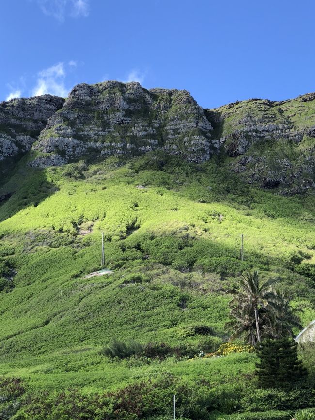 山の緑も綺麗です。