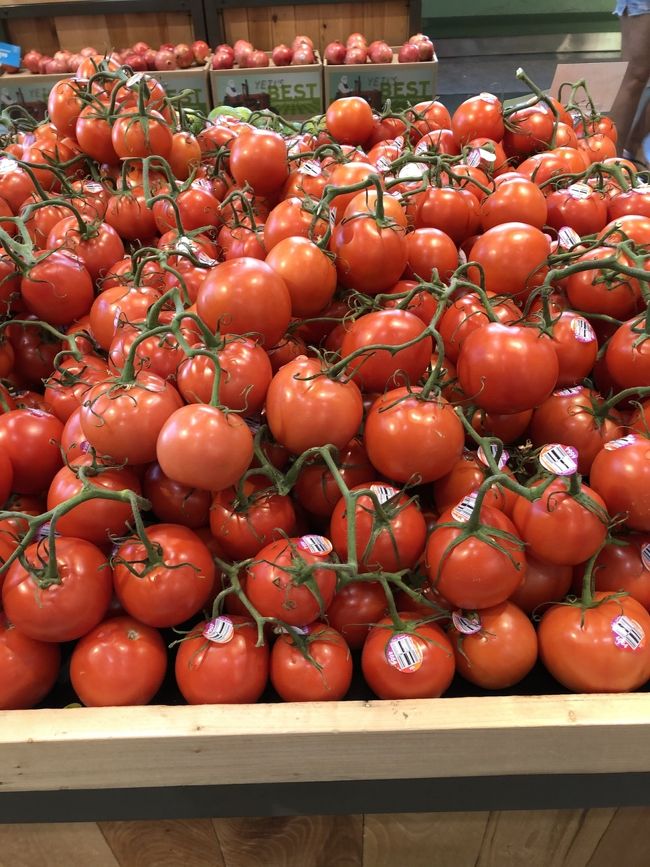 トマトがメチャ美味しそう