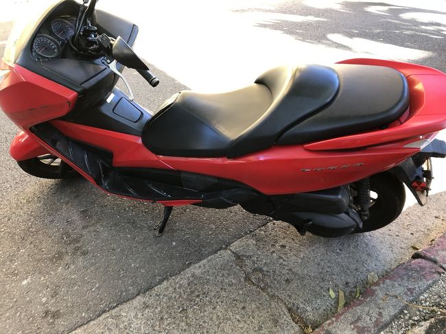 ３日目～。今日の相棒はこの子