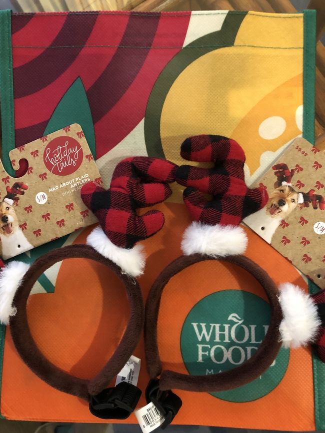 Petcoで、犬のトナカイ買いました。